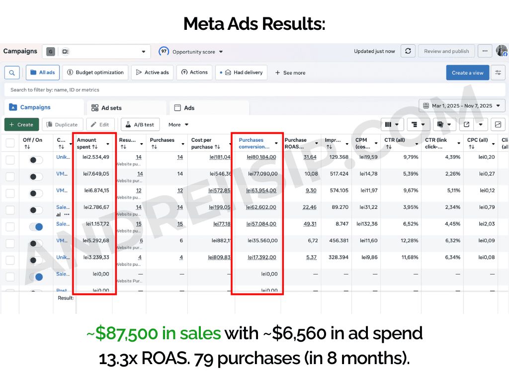Meta Ads client campaign result 3
