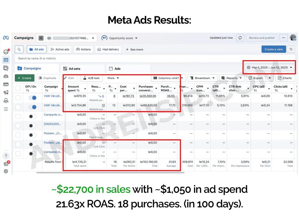 Meta Ads client campaign result 9