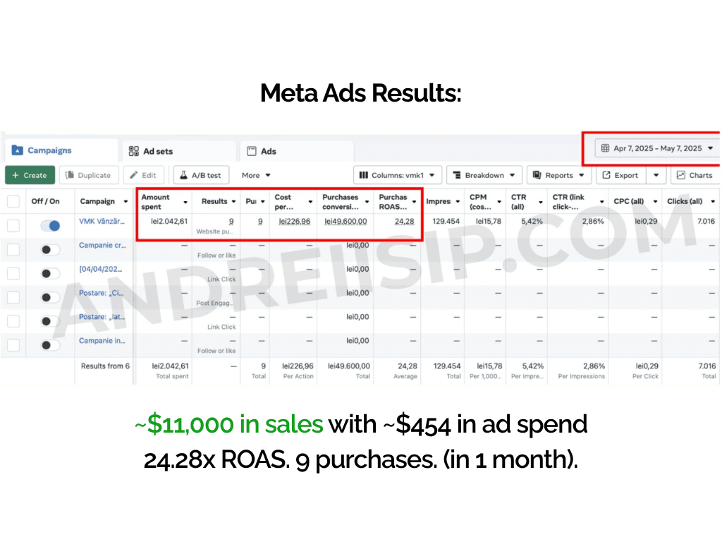 Meta Ads client campaign result 11