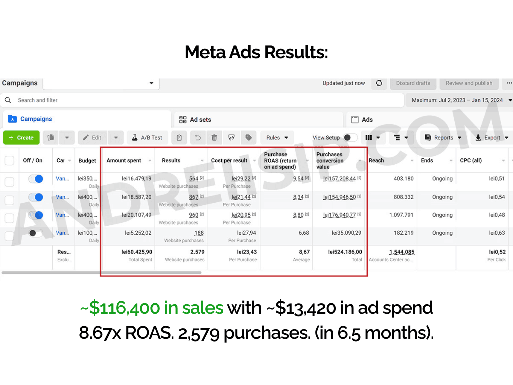 Meta Ads client campaign result 12