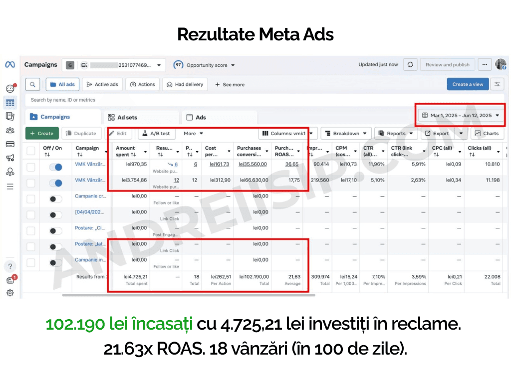 Rezultat campanie Meta Ads pentru client 9
