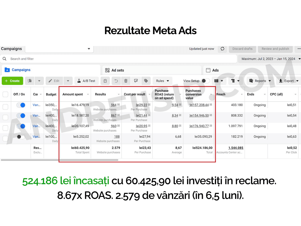 Rezultat campanie Meta Ads pentru client 12