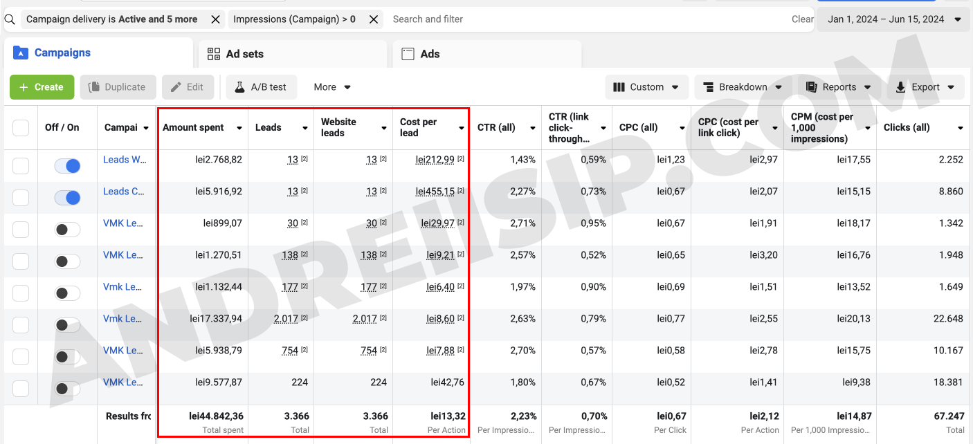 rezultate fb ads leads-min
