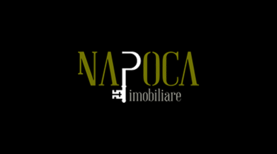 Cum am contribuit la creșterea brandului Napoca Imobiliare